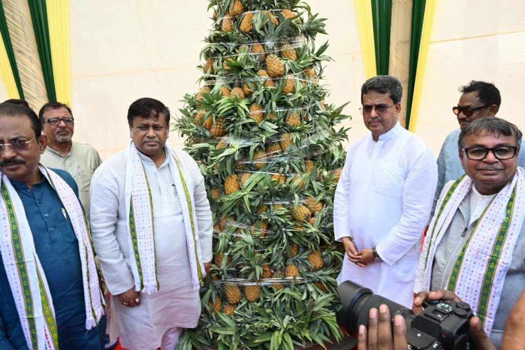 ত্রিপুরার বিখ্যাত কুইন আনারস বিশ্বব্যাপী সমাদৃত : মুখ্যমন্ত্রী
