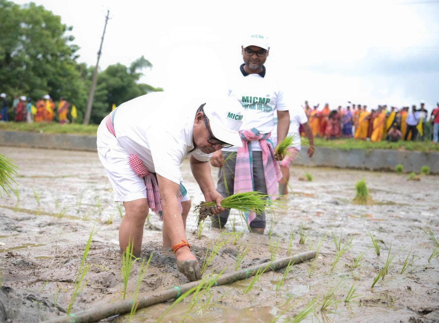 কৃষকরাই খাদ্য নিরাপত্তার মূল ভিত্তি : রতনলাল 