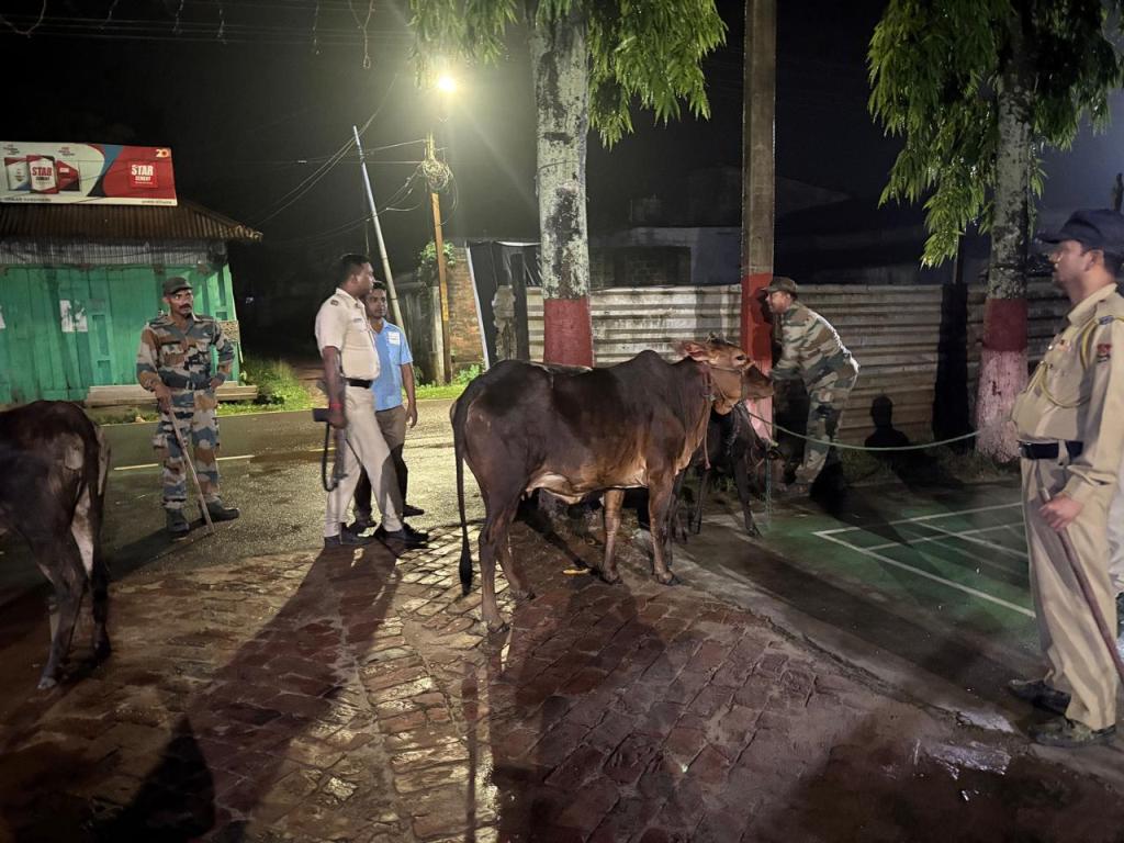 পাঁচারকালে সীমান্তে আটক পাঁচটি গবাদিপশু 