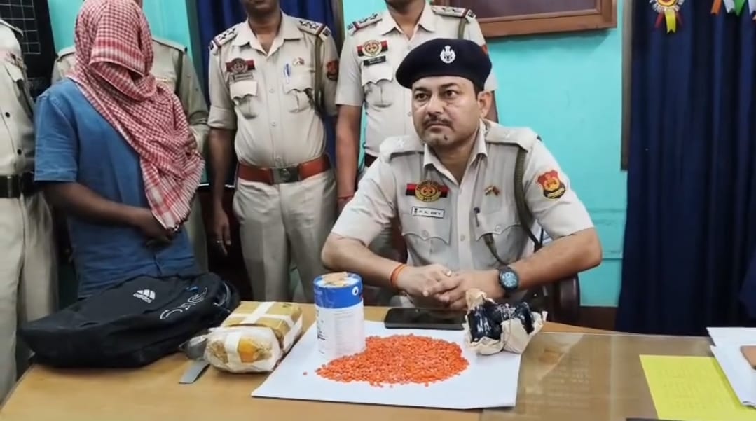 প্রচুর ইয়াবা ট্যাবলেটসহ আটক নেশাকারবারি 