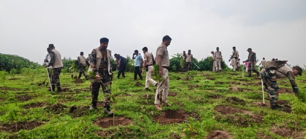 রিজার্ভ ফরেস্টে গাঁজা বাগান ধ্বংস পুলিশের 