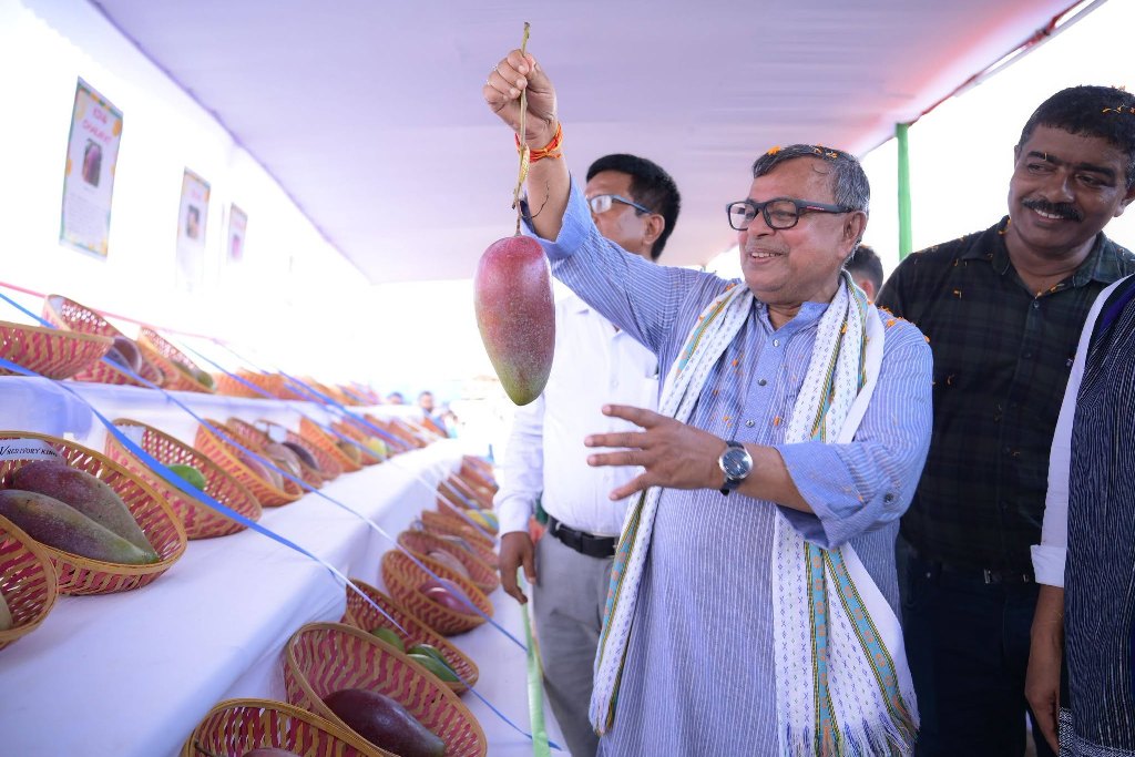 নারিকেলকুঞ্জে আম উৎসব 