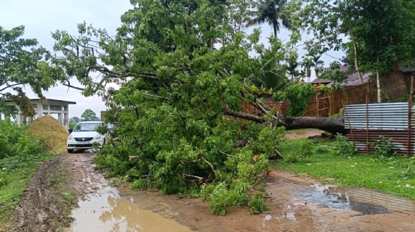 গাছ পড়ে অবরুদ্ধ সড়ক
