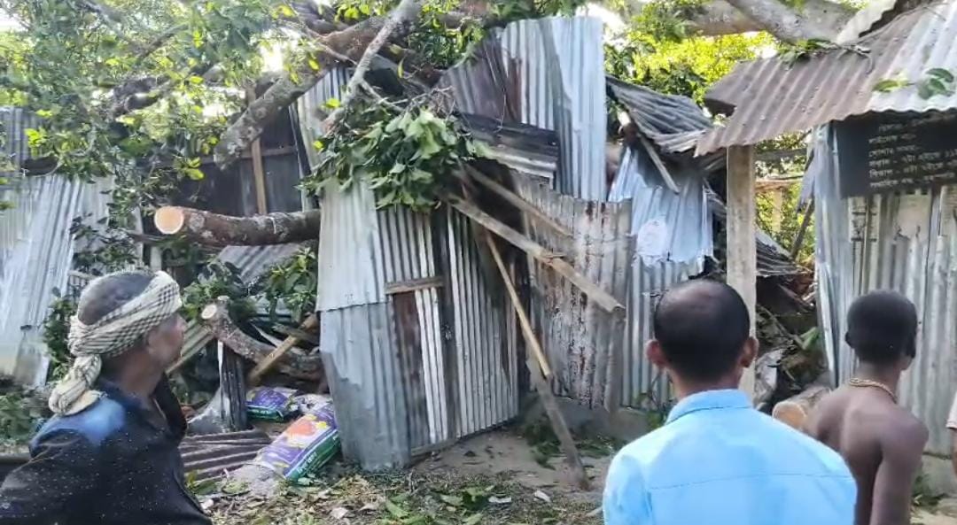 বটগাছ ভেঙে পরে লণ্ডভণ্ড রেশন দোকান, অল্পেতে প্রাণে বাঁচলেন ডিলার