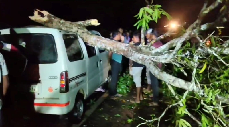 চলন্ত গাড়ির ওপর ভেঙে পড়লো গাছ